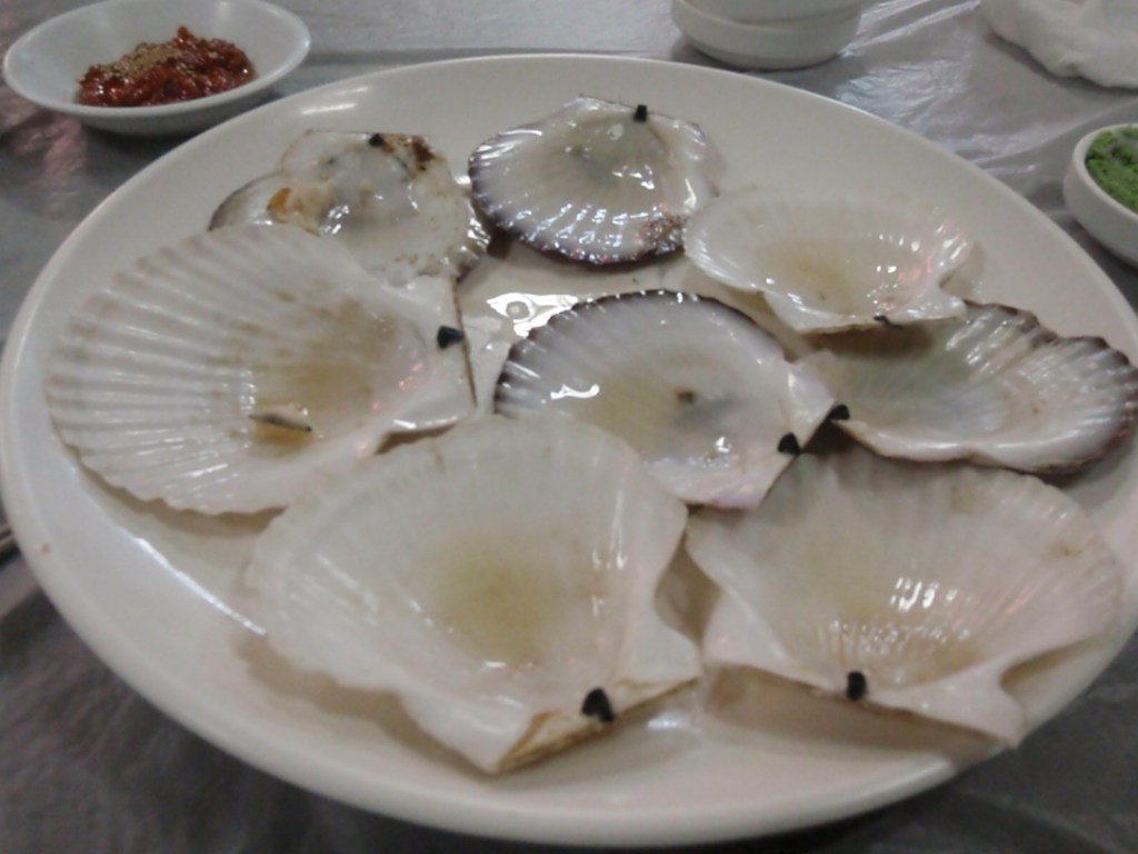 Beautiful, fresh scallops - devoured!