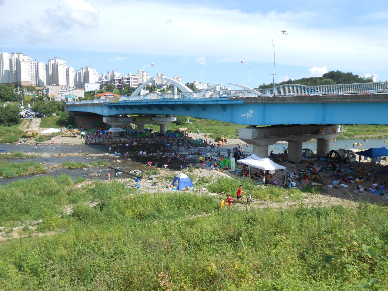 Summer holidays! Lets go hang under a bridge!!!