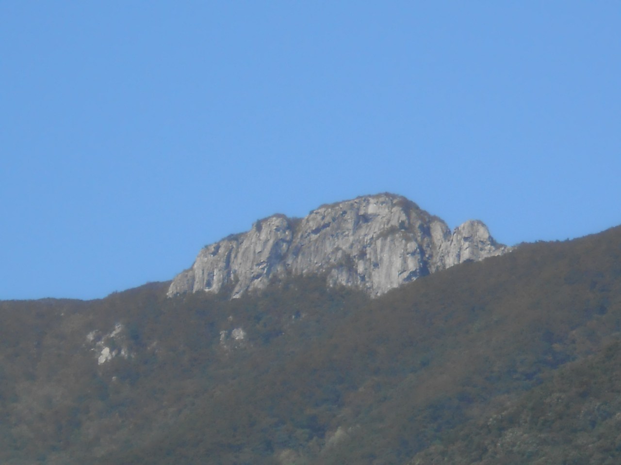 Cheeky unexpected Ulsan 12