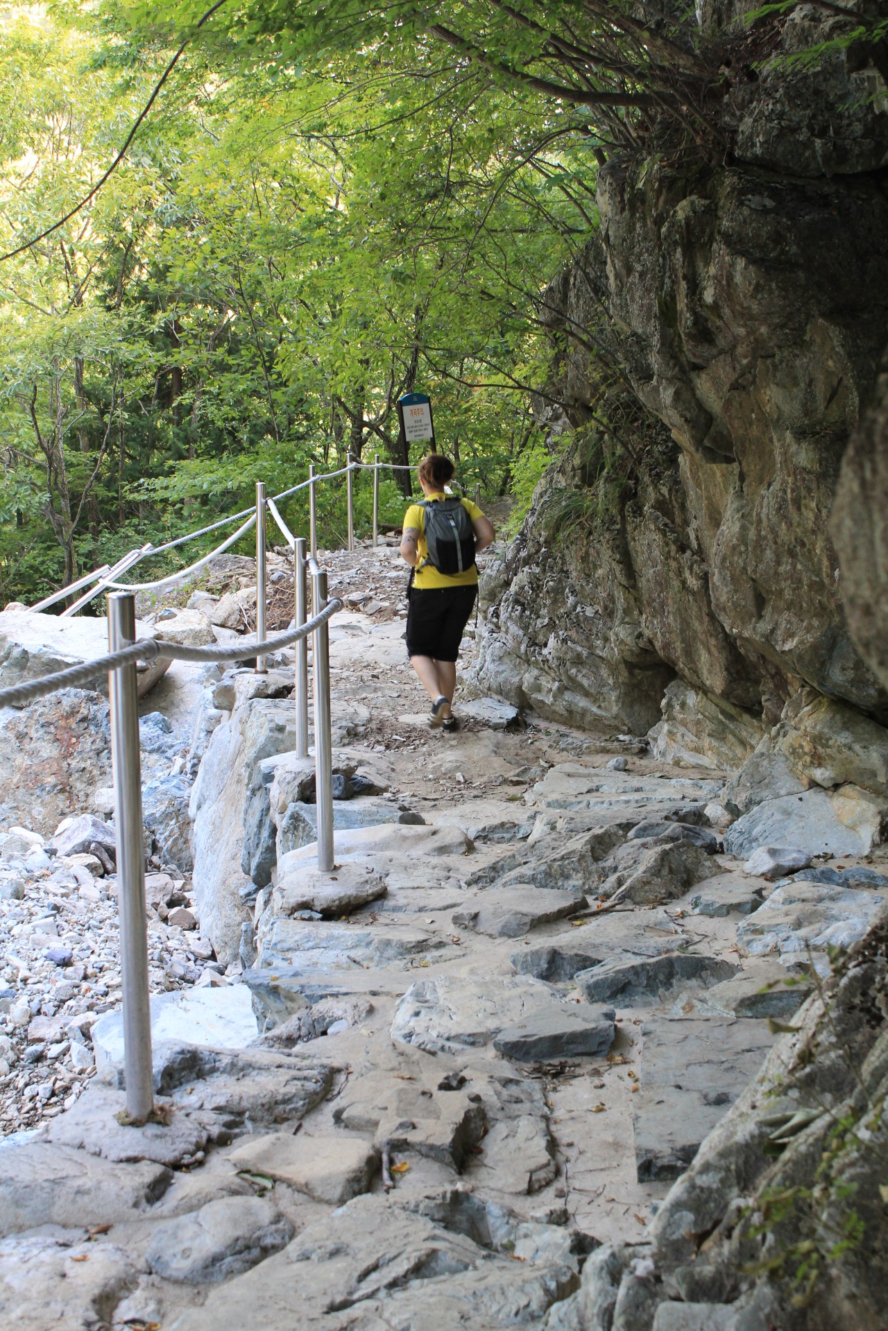 H-J wandering with ease