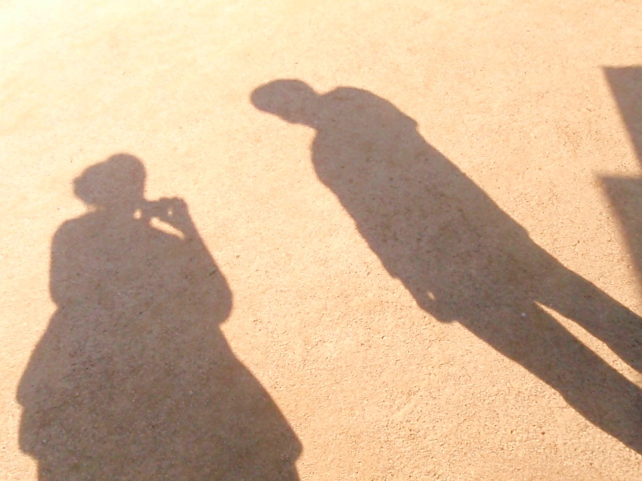 The Search Continues…