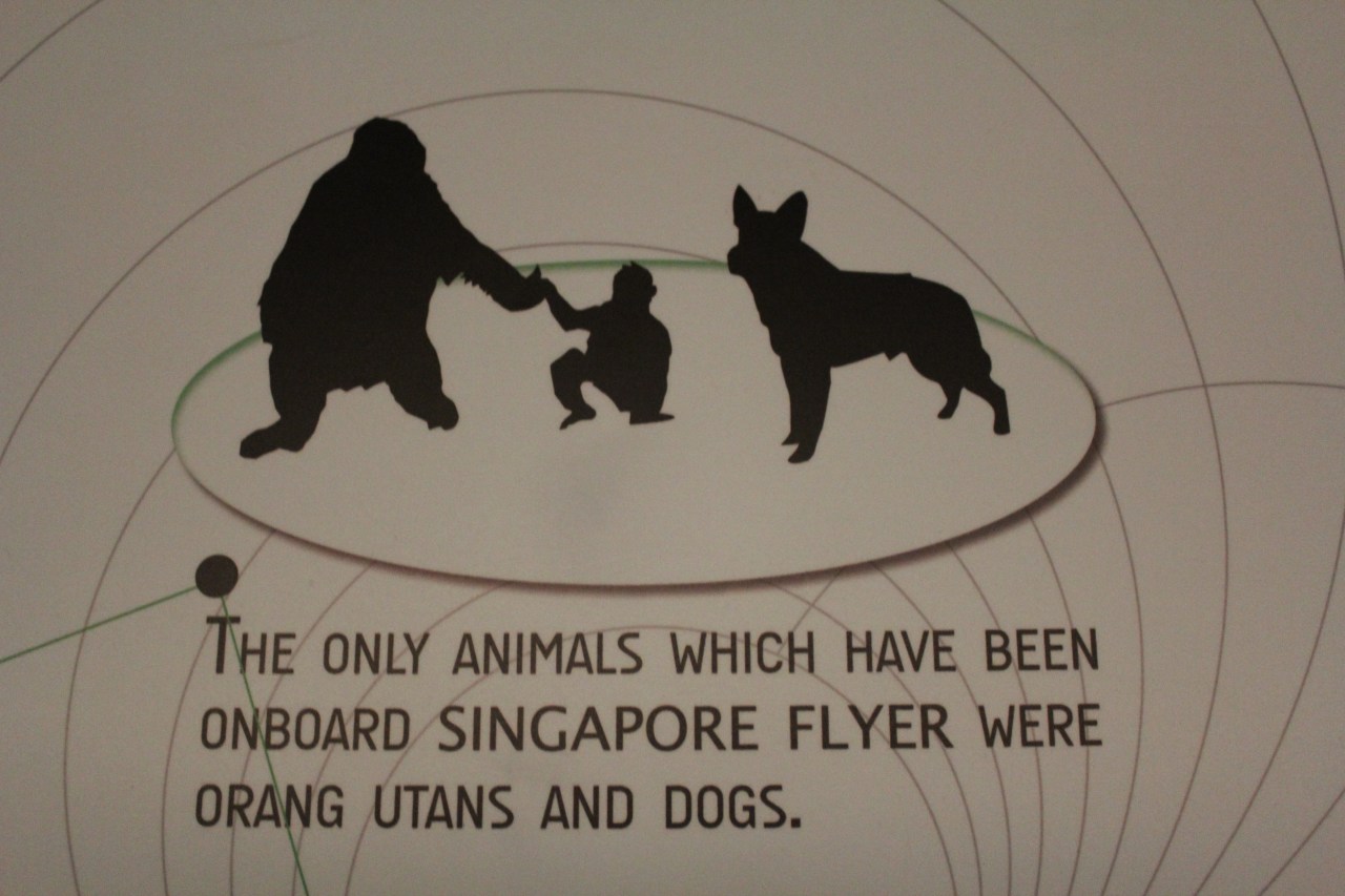 We'd fit right then!!