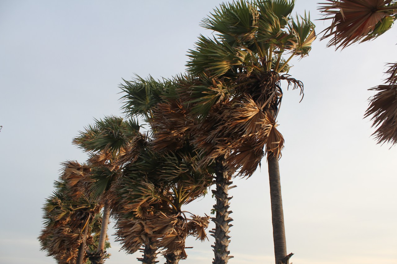 Reality Interrupted –&nbsp;WIN!